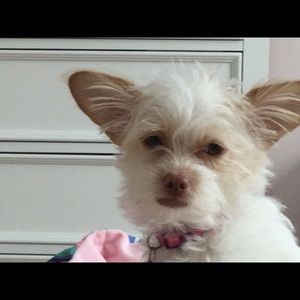 Meet your Posher, Beth